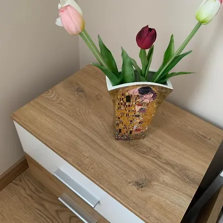 Zsuzsa Apartment