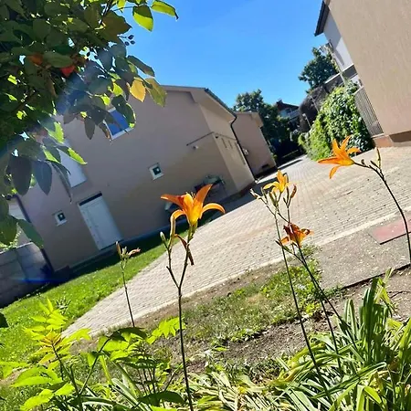 Zsuzsa Apartament